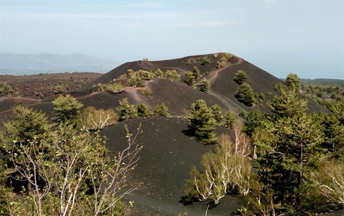 Etna: Passeggiata Naturalistica e Degustazione Vino